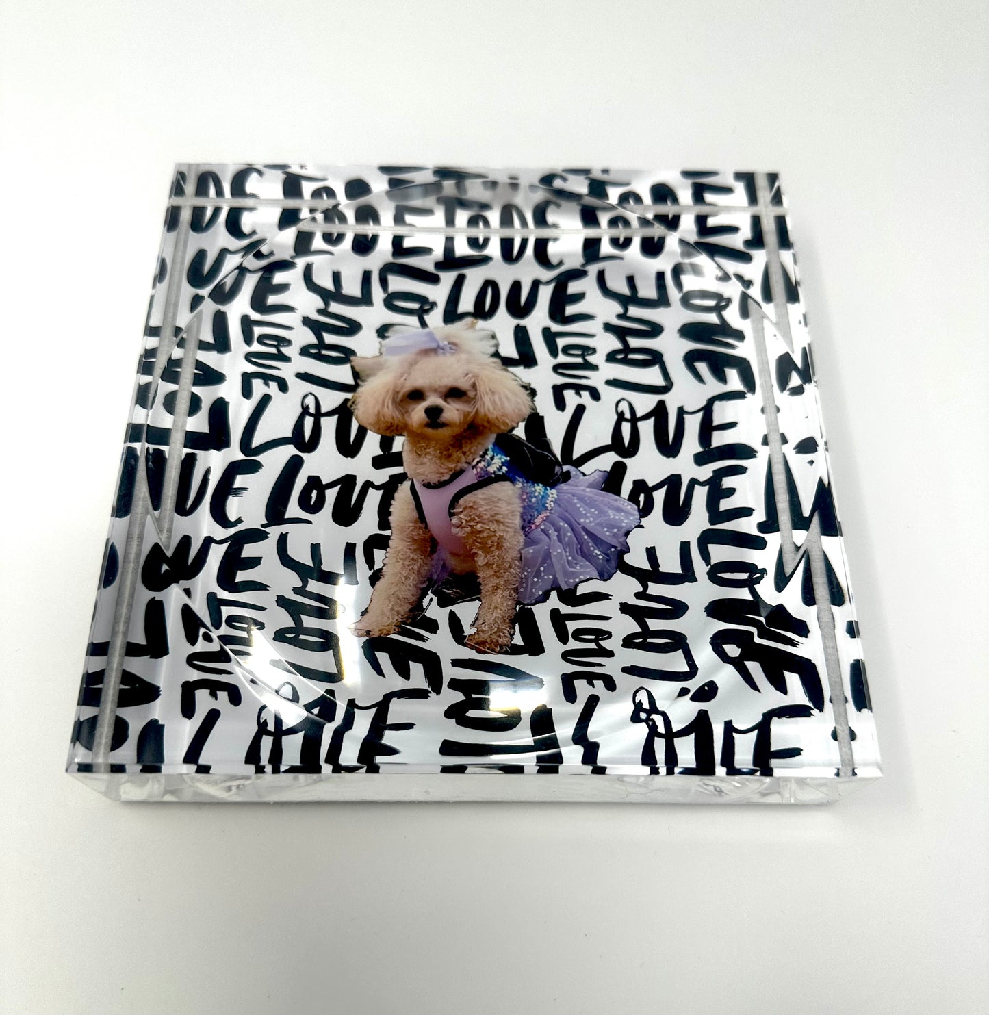 Custom Pet or Loved One Photo Love Acrylic Candy Dish Catchall